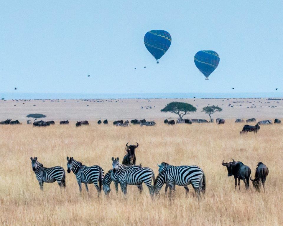 background image for - 4 Days Tanzania Luxury Safari