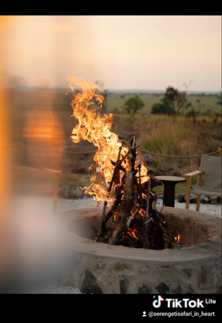 Image number 6 for Fly In /out Luxury Safari-ngiri