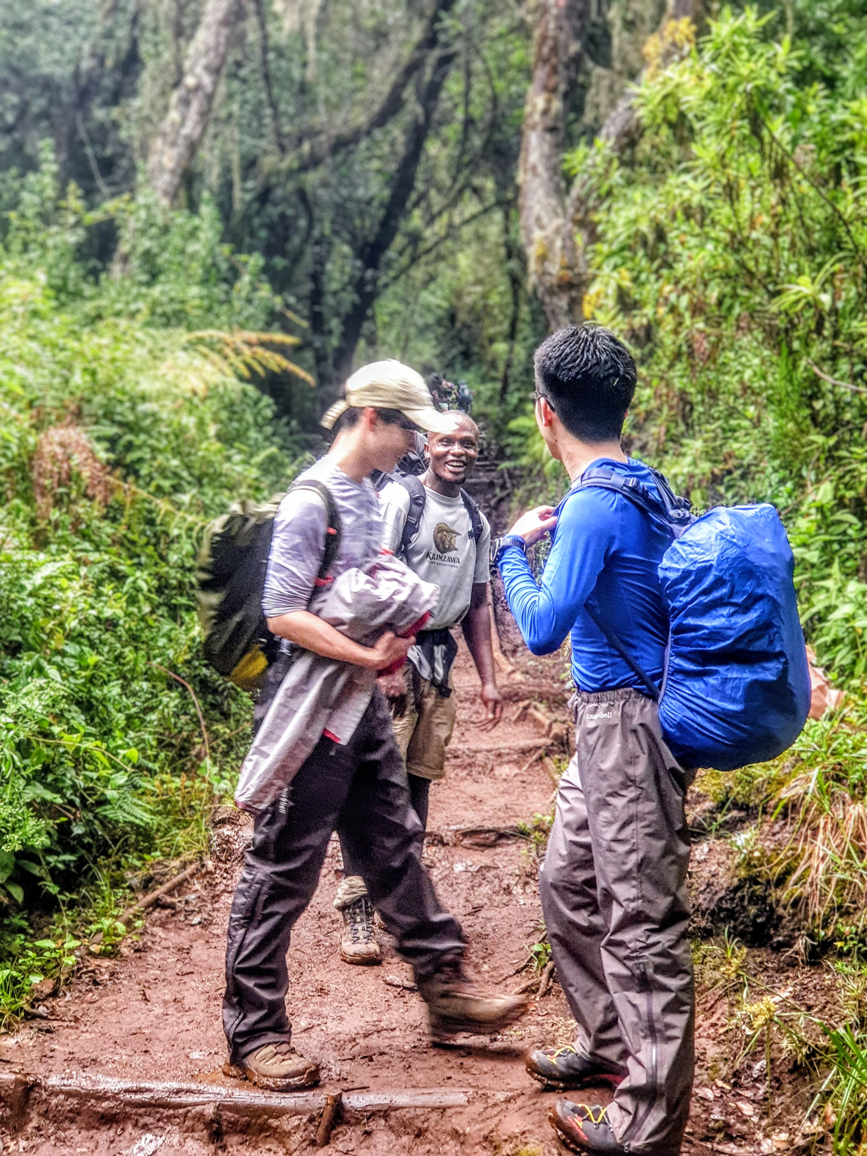 Image number 4 for 5 Days 4 Night Kilimanjaro Hiking 