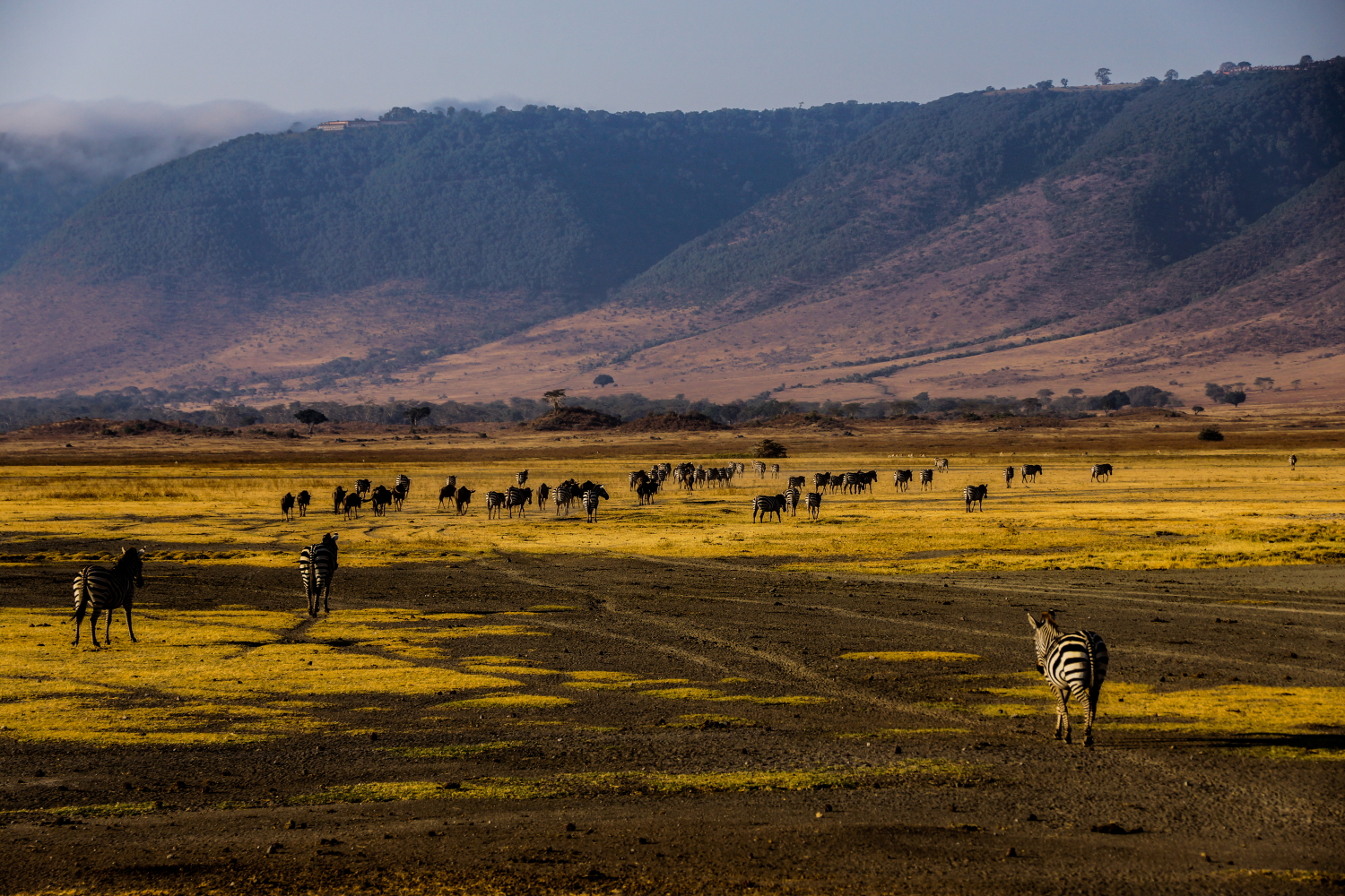 Image number 3 for 3 Days 2 Nights Ngorongoro Crater,tarangire And Manyara National Park
