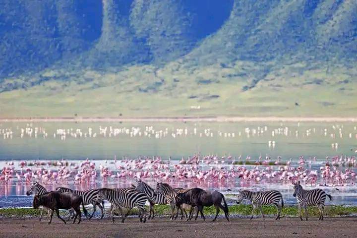Image number 10 for Discover Kenya In 7 Days: Private Safari