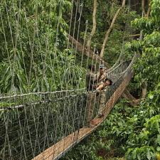 Image number 6 for  Tanzania Group Safari Tarangire, Serengeti, Ngorongoro & Lake Manyara