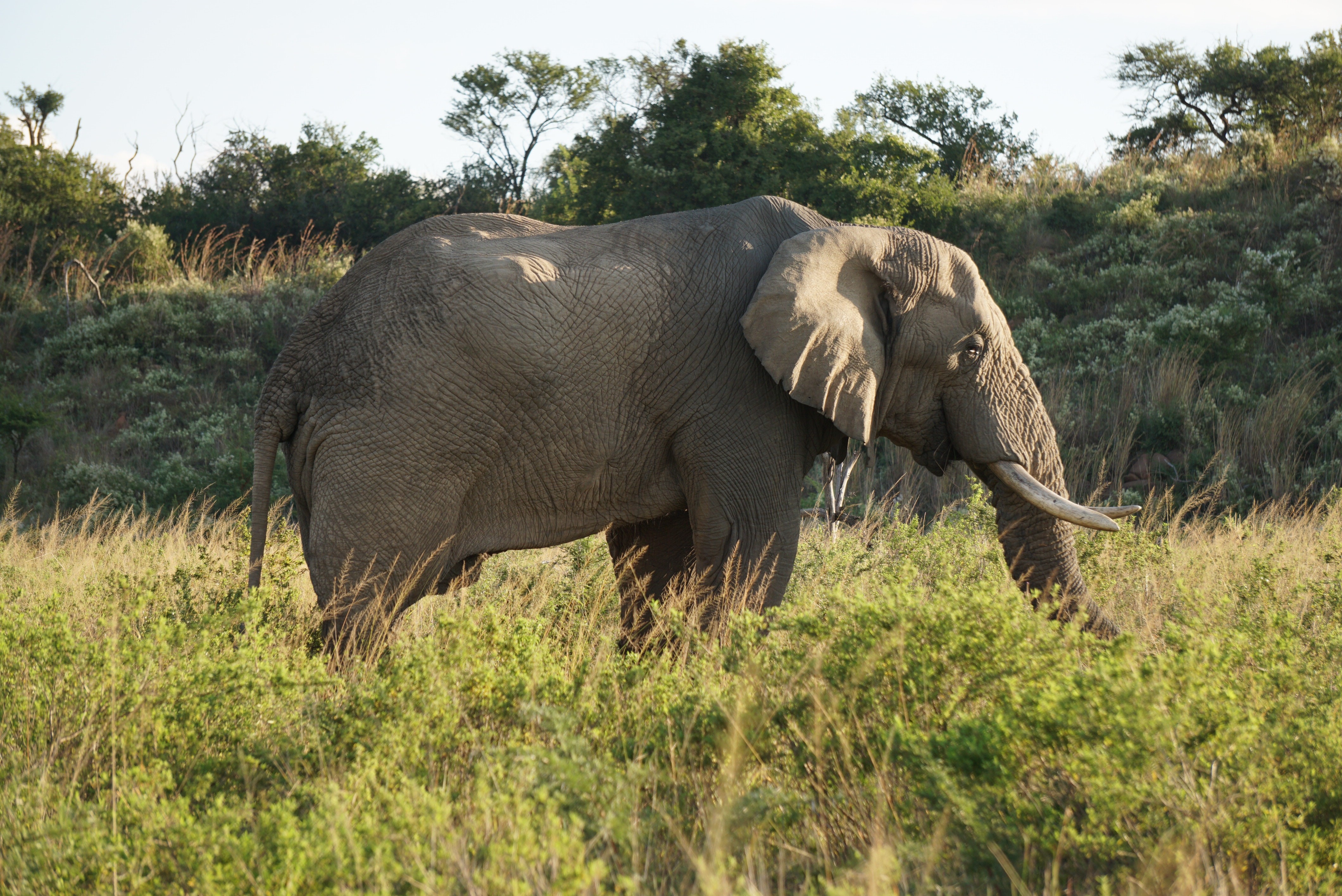 background image for - 4 Days Tanzania Budget Group Joining Safari