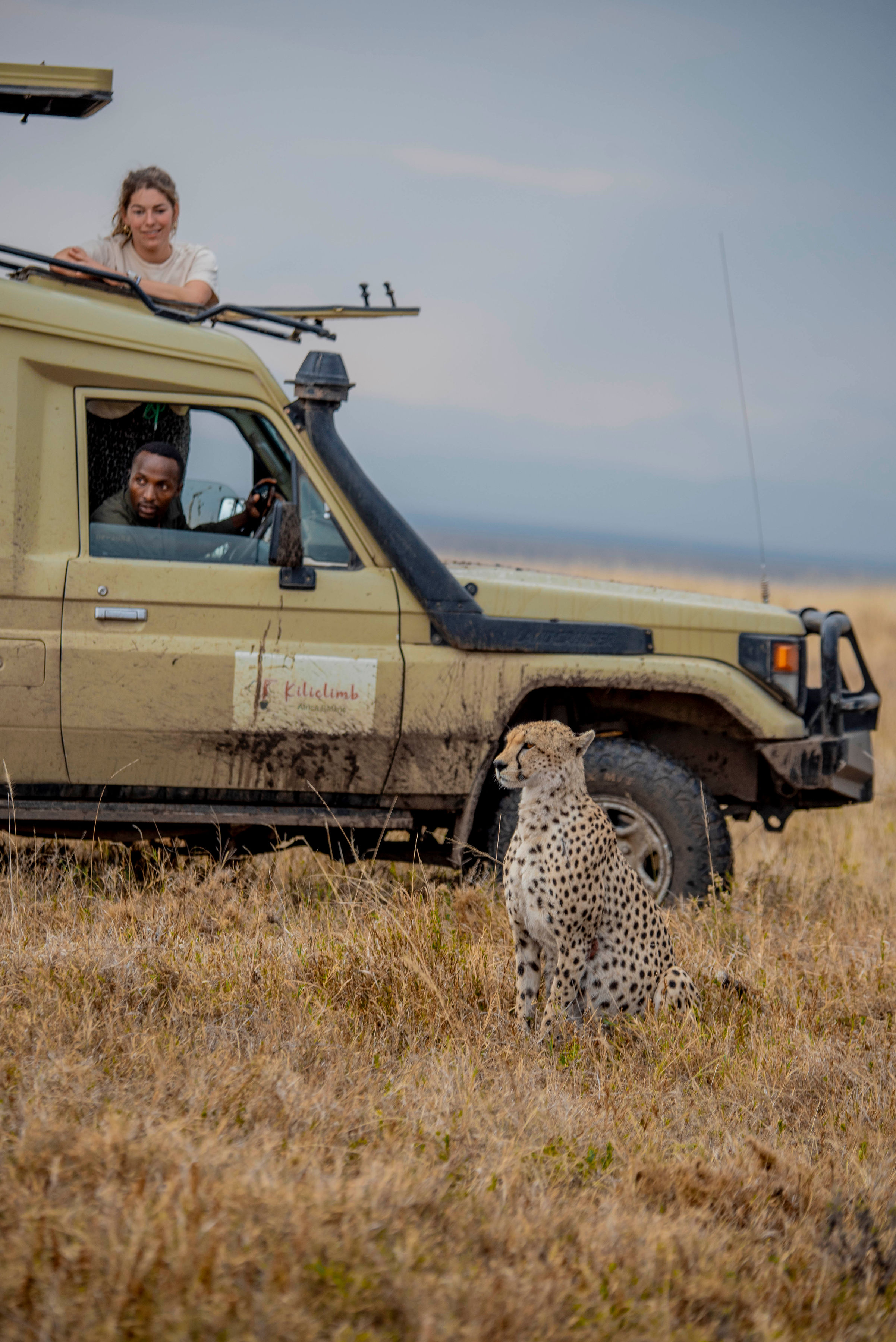 Image number 1 for Serengeti-ngorongoro Crater Budget Camp Joining