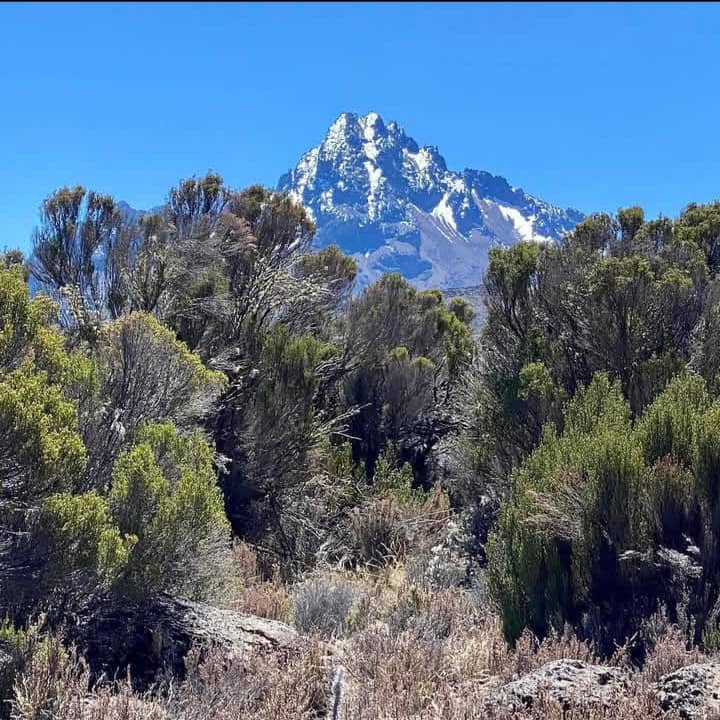 Image number 3 for 7day Machame Route