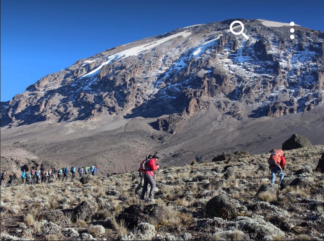 background image for - 8 Days Acclimatize  Lemosho Route