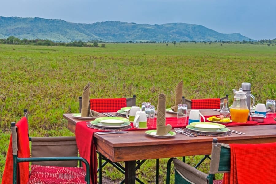 background image for - 5 Days Luxury Safari Lodge