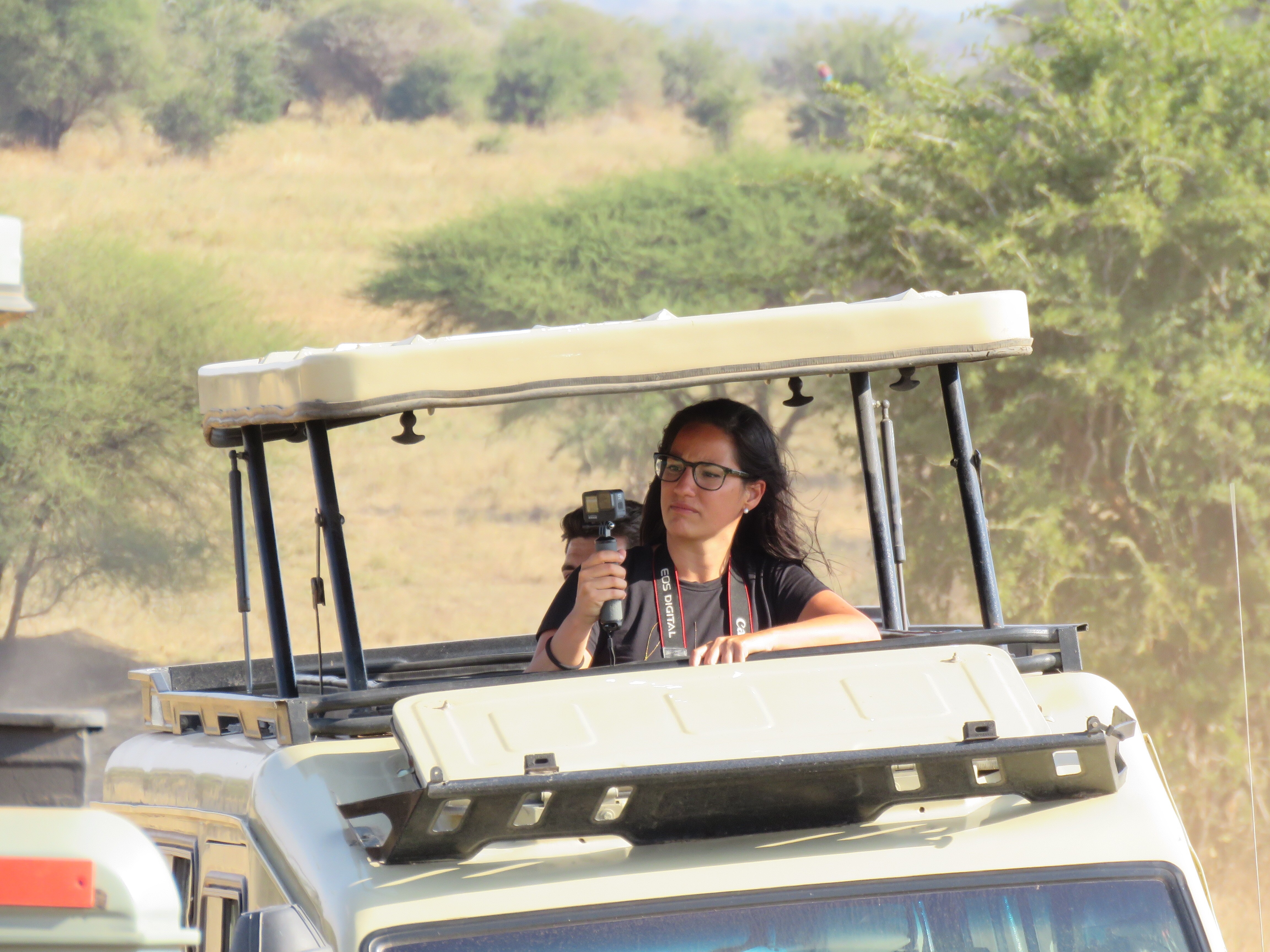 background image for - Lifetime 3 Days Safari To Mikumi N.p 