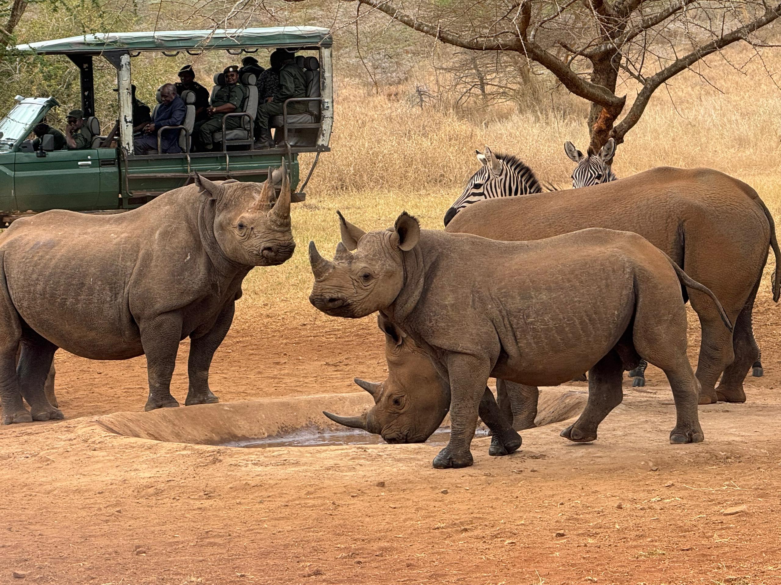 Image number 11 for Tanzania Safari: A Journey Into Africa’s Untamed Heart