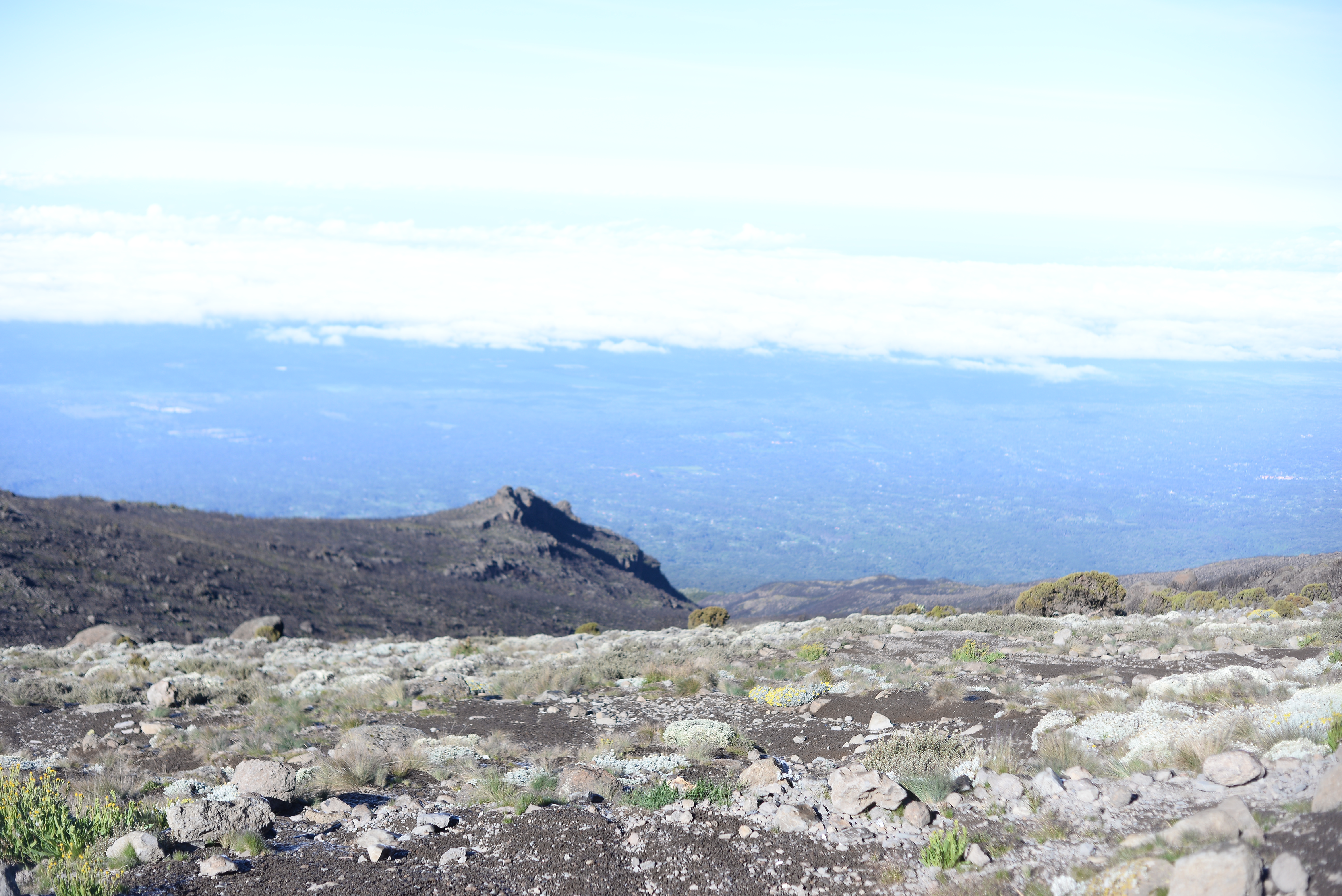 background image for - 6day Climb Kilimanjaro Via Marangu 