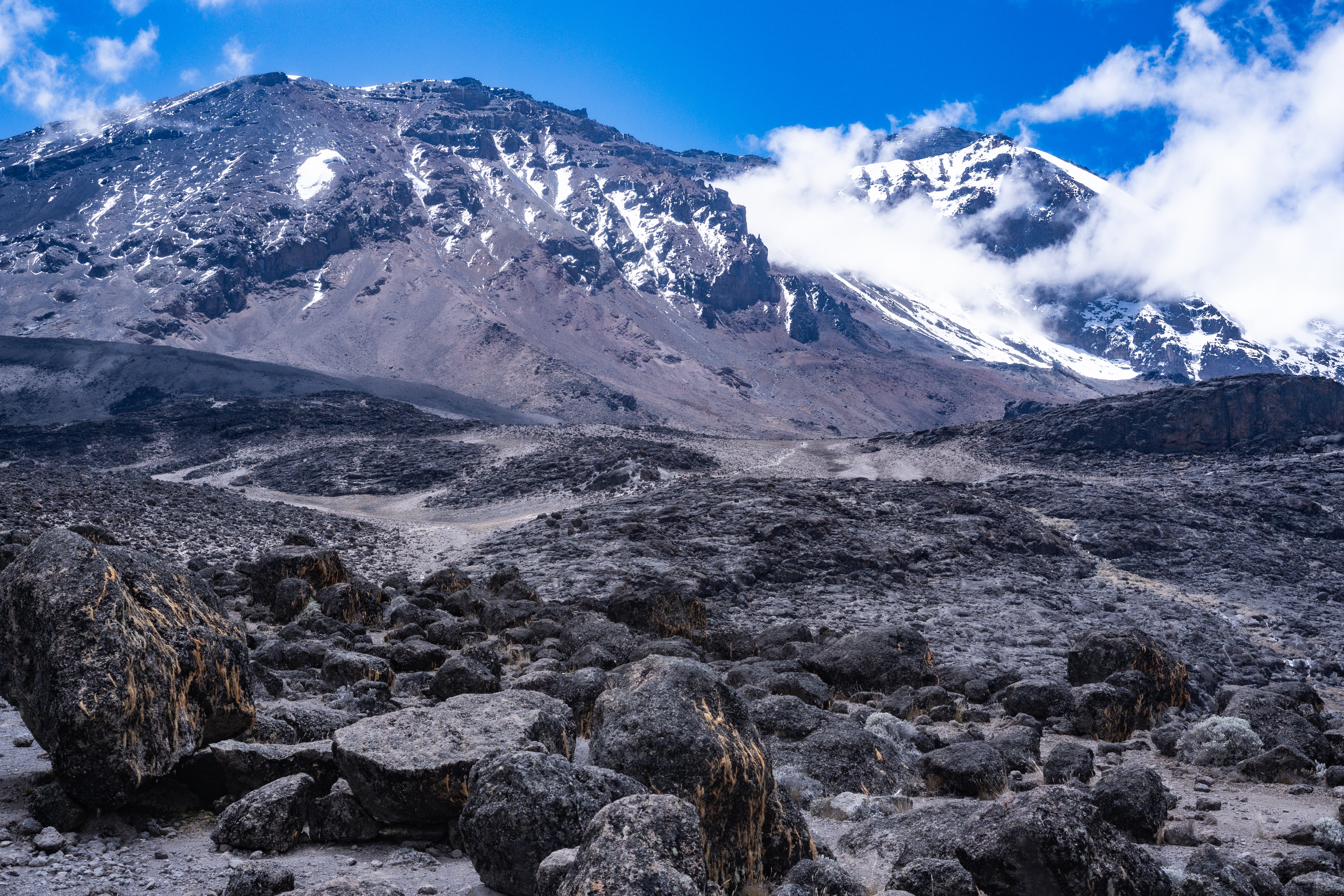 background image for - Northern Circuit Route Kilimanjaro Climbing Tour