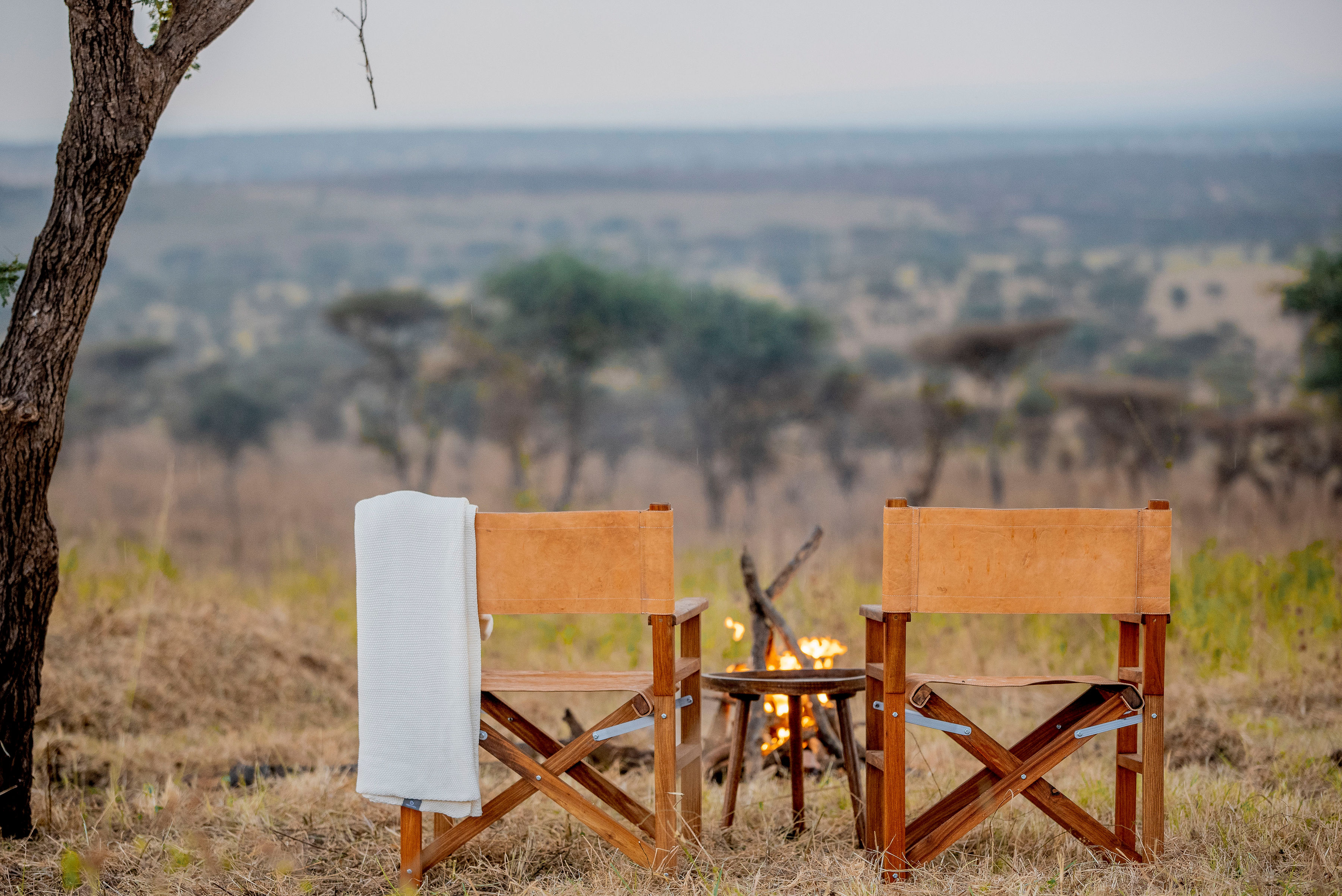 Image number 3 for Luxury Safari Pure Wilderness Elegance In Tanzania