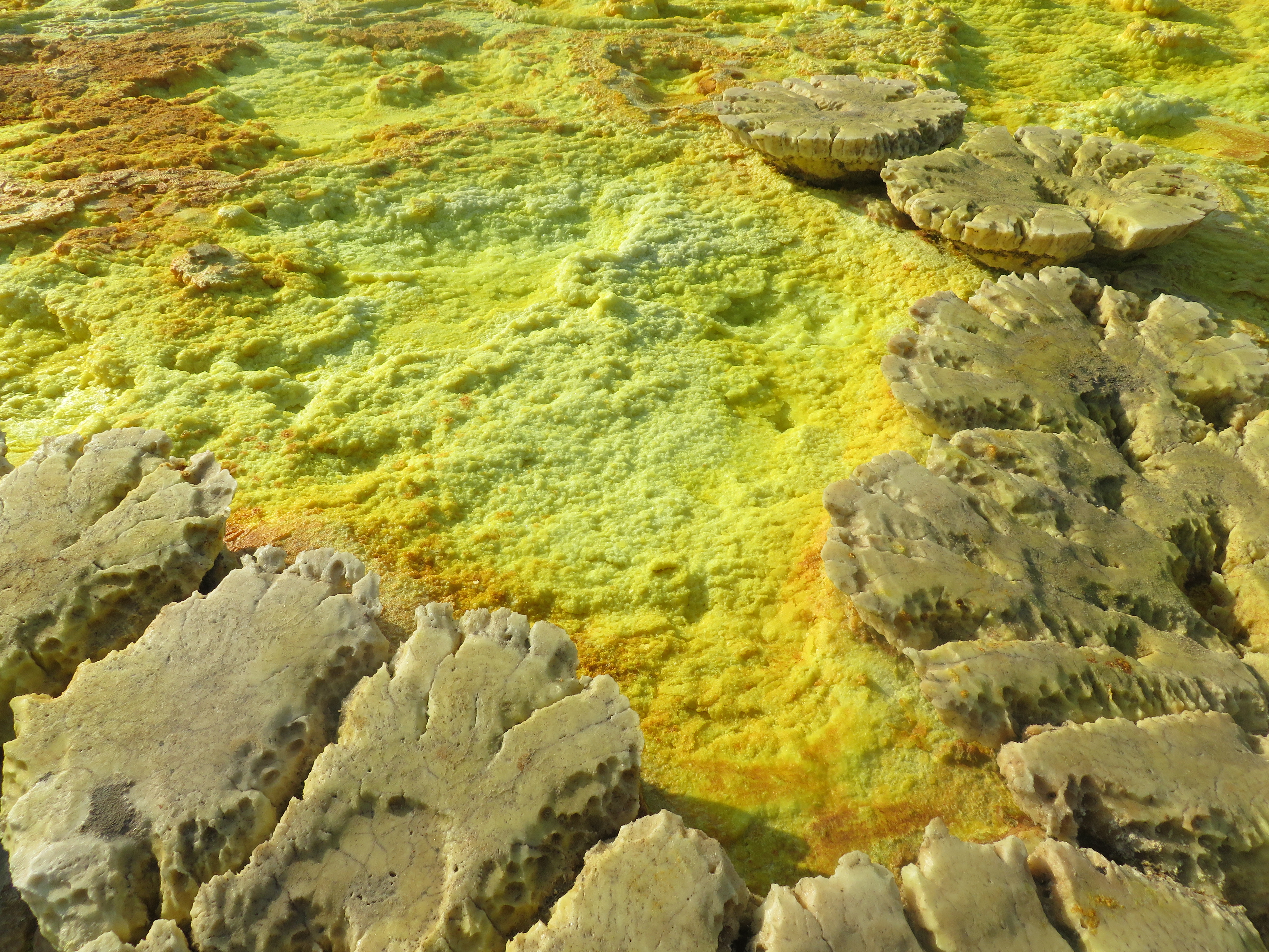 background image for -   Days Trip Afar And Awash