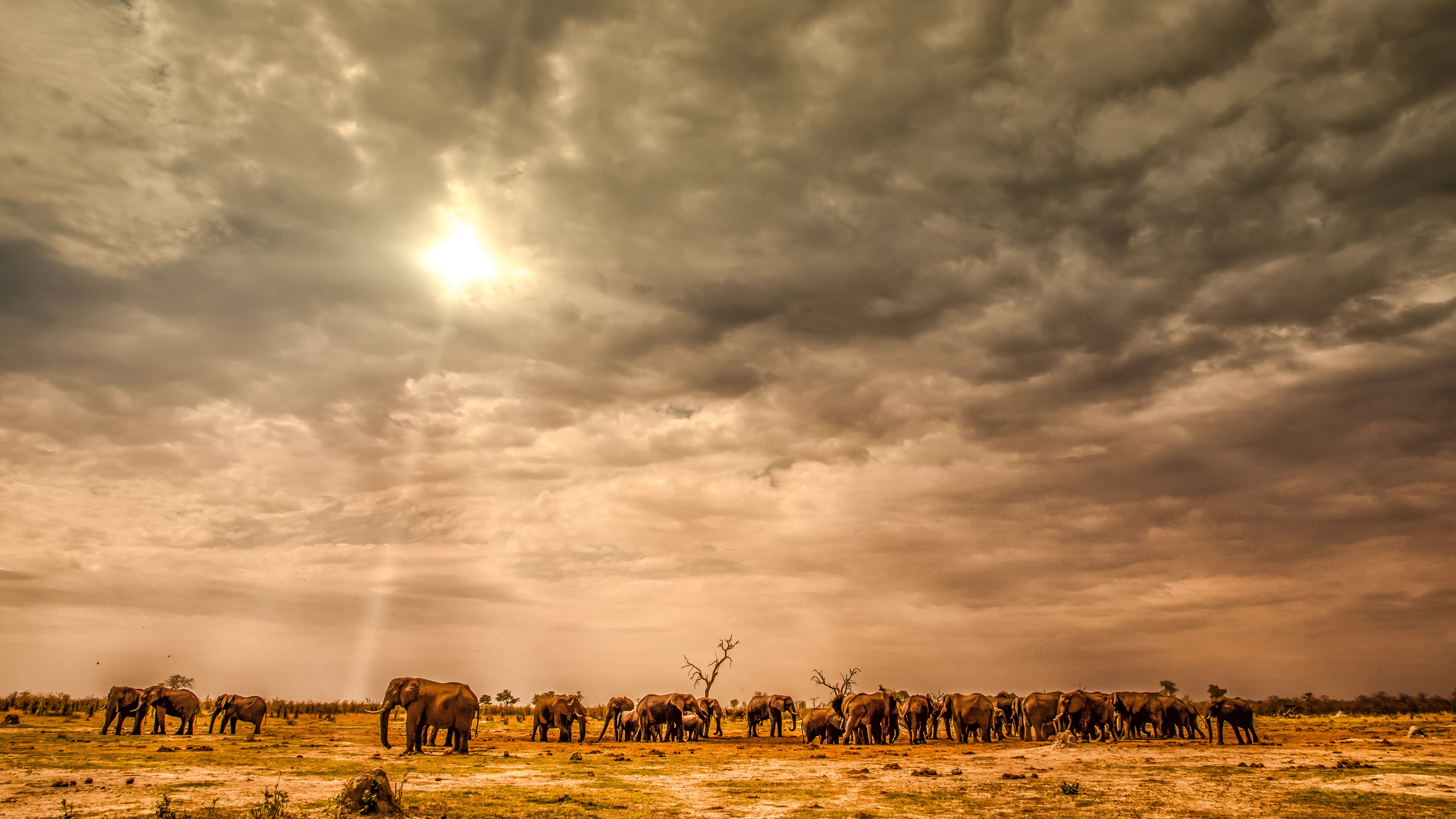 background image for - Best 7 Days Serengeti Safari In Tanzania