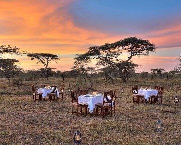 Image number 4 for Living Among Lions - Luxury (with Four Seasons)