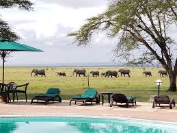 Image number 13 for 7-Day Masai Mara~nakuru~naivasha~amboseli