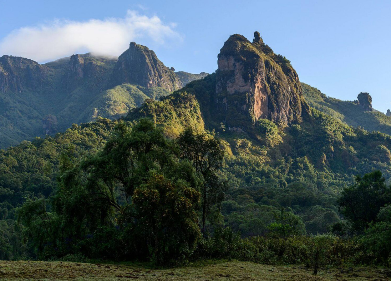 Image number 8 for 4 Days Bale Mountain  Safari Tour   