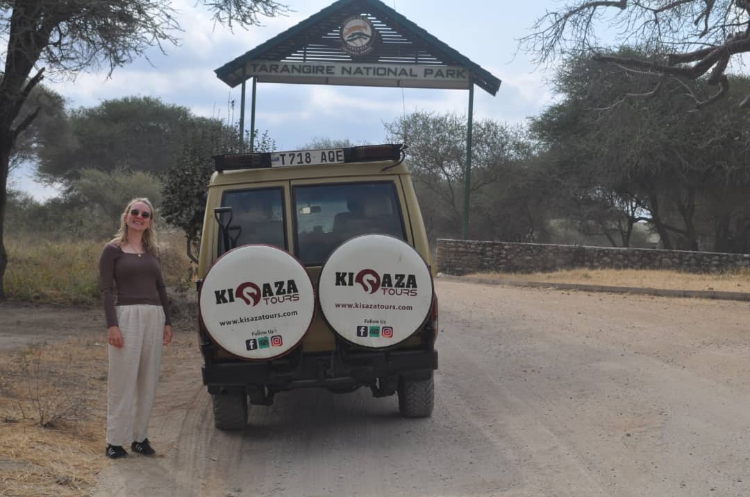background image for - Tarangire National Park Excursion