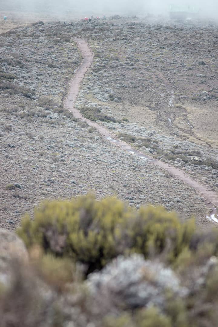 background image for - 8 Days Lemosho Route