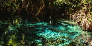 Image number 1 for Chemka Hotsprings Day Trip