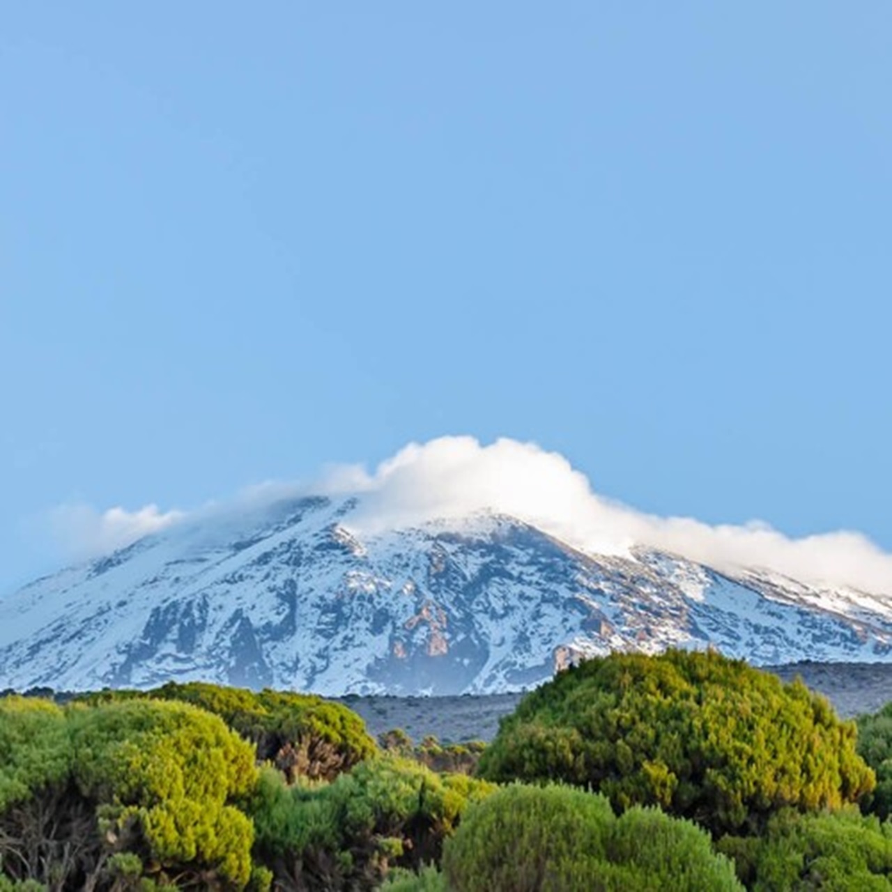 background image for - #1. Best Kilimanjaro One Day Hike Tour.