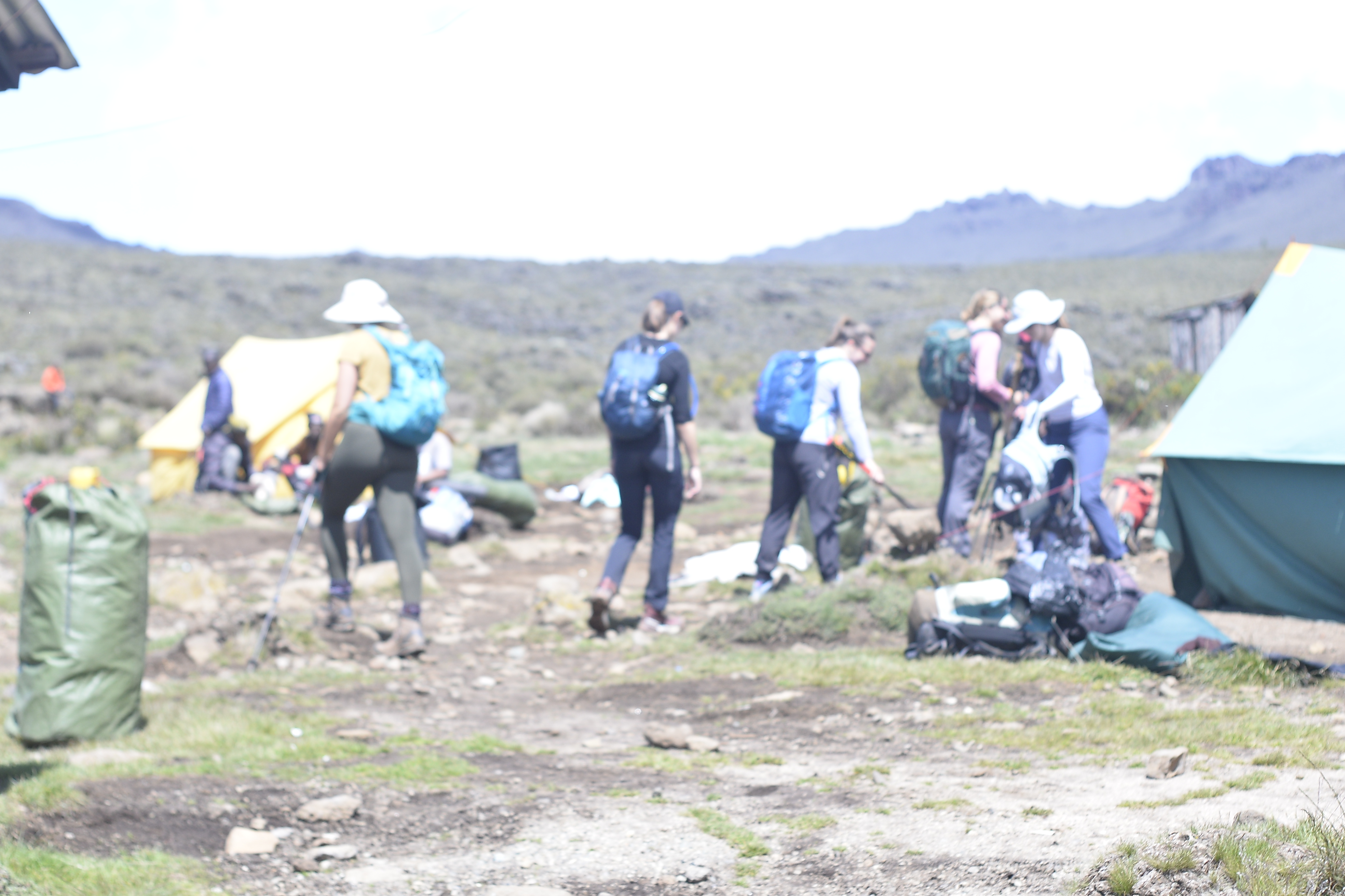 background image for - 7 - day Kilimanjaro Climb Via Lemosho 