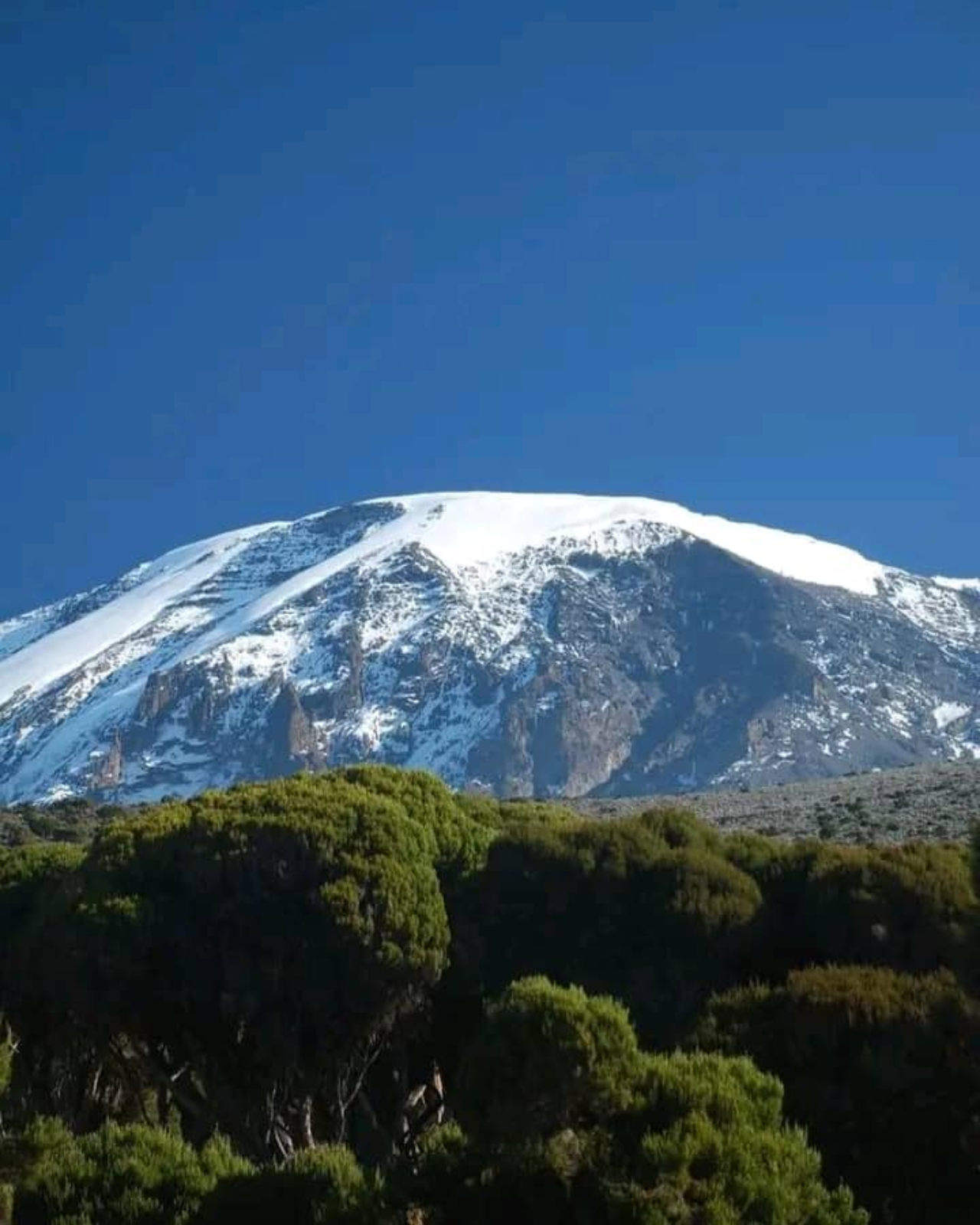 background image for - Marangu Route Kilimanjaro Climbing Tour Package