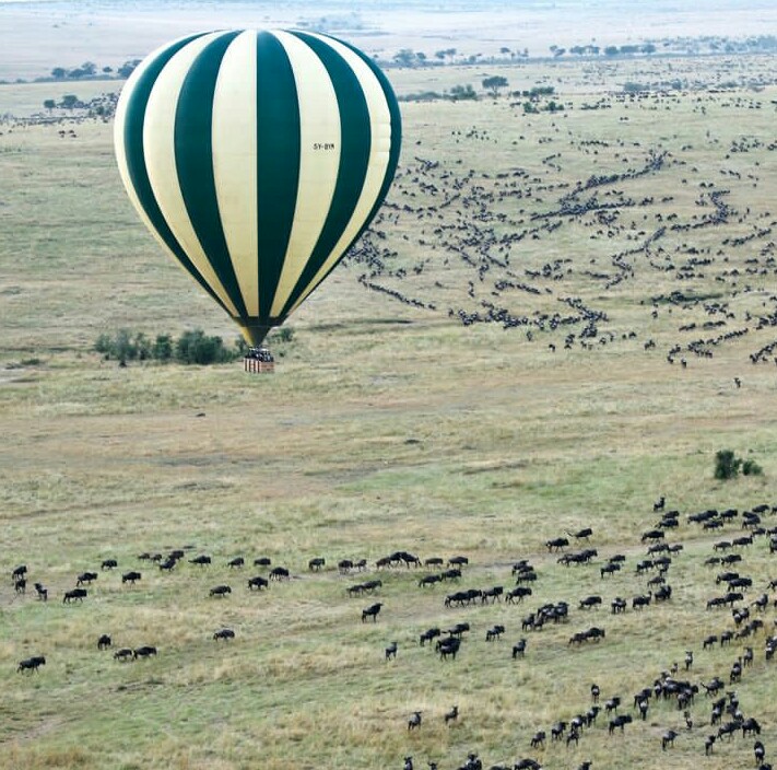 background image for - 6-Days Serengeti Migration Safari 