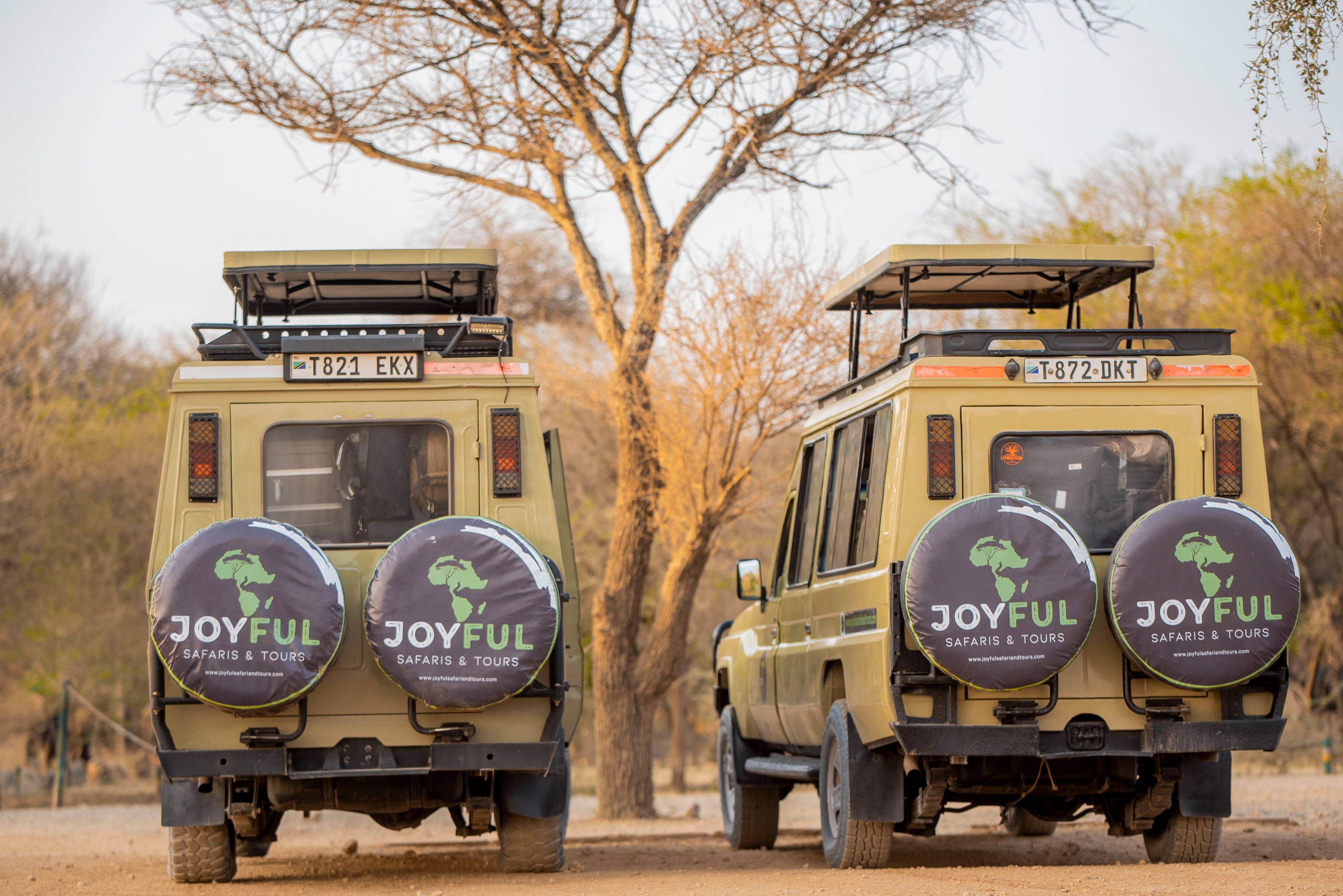 Image number 6 for Tanzania Budget Camping Safari