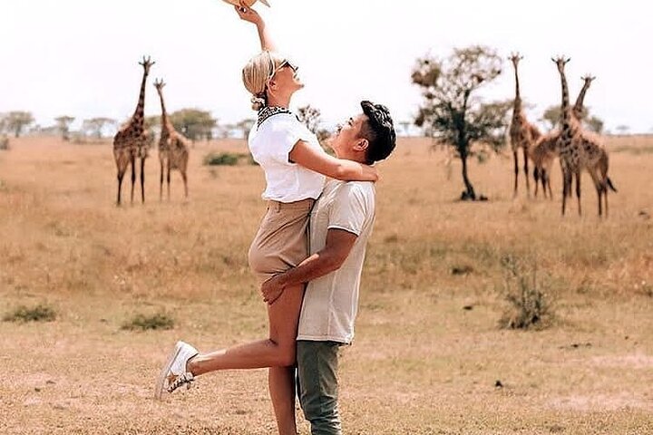 Image number 1 for Manyara, Serengeti & Ngorongoro Mid-range_safari