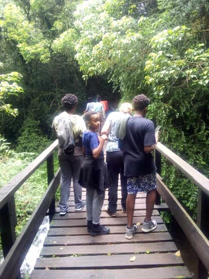 Image number 15 for Day Trip To Mandara Huts