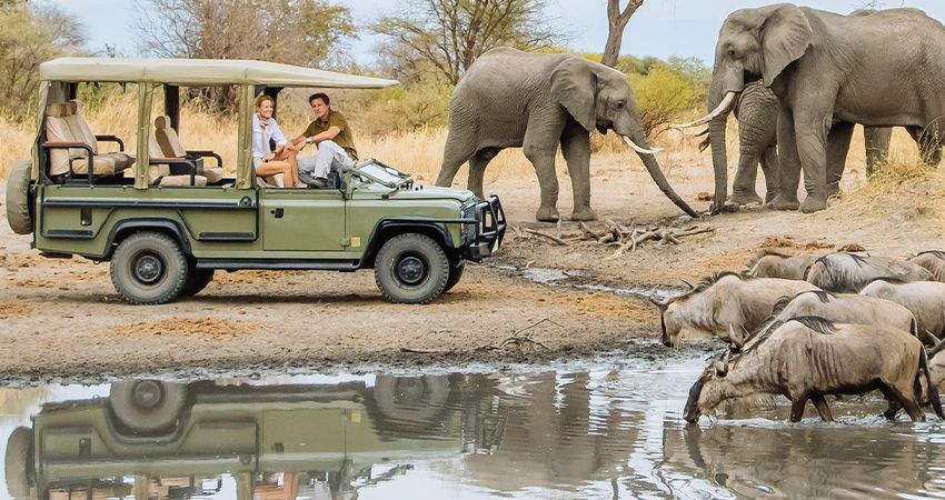 background image for - 4 Days Tanzania Private Safari