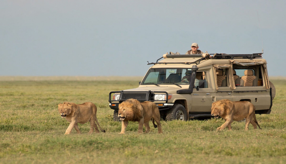 5 Days 4 Nights Serengeti,lake Manyara, Tarangire & Ngorongoro Crater