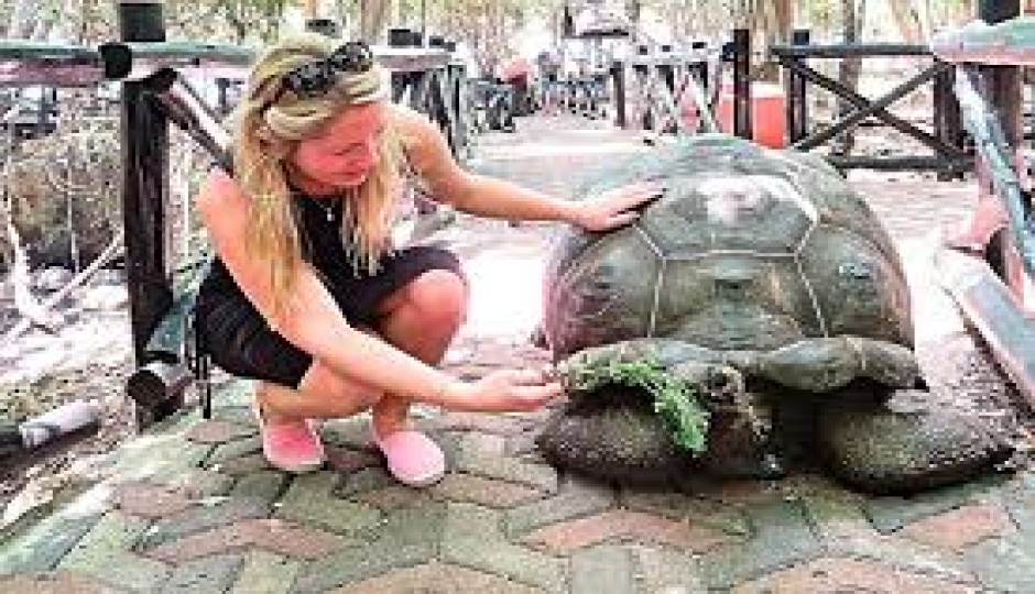 Slides Images for 3 Day Zanzibar Beach Holiday Tour