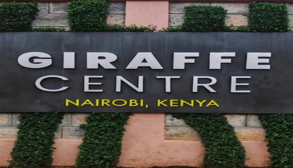 Slides Images for 1 Day Nairobi Excursion