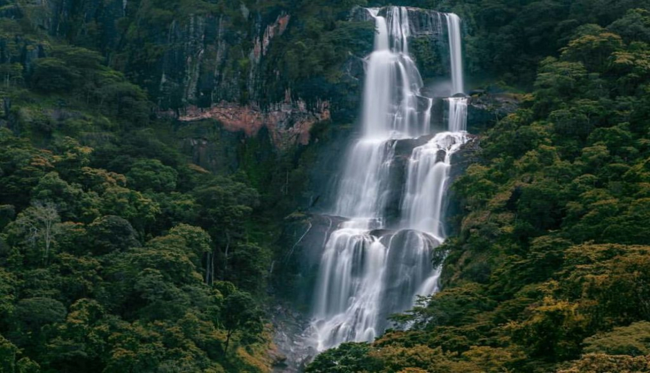 3 Day : Mikumi National Park And Udzungwa Mountain Hiking