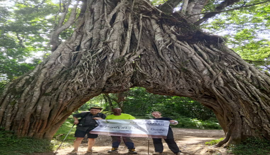 Slides Images for Mount Meru Climbing Best Team Hikkers 