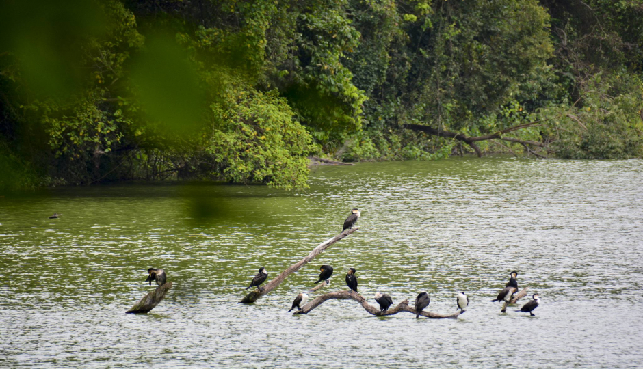 Slides Images for Best Day Trip Lake Duluti From Arusha