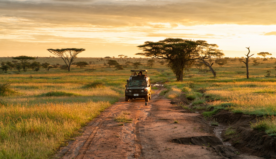Half Day Tour : Mikumi National Park From Dar-es-salaam