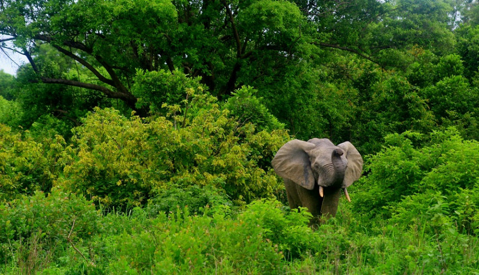 Slides Images for 2 Days Tanzania Luxury  Safari 2026-2027