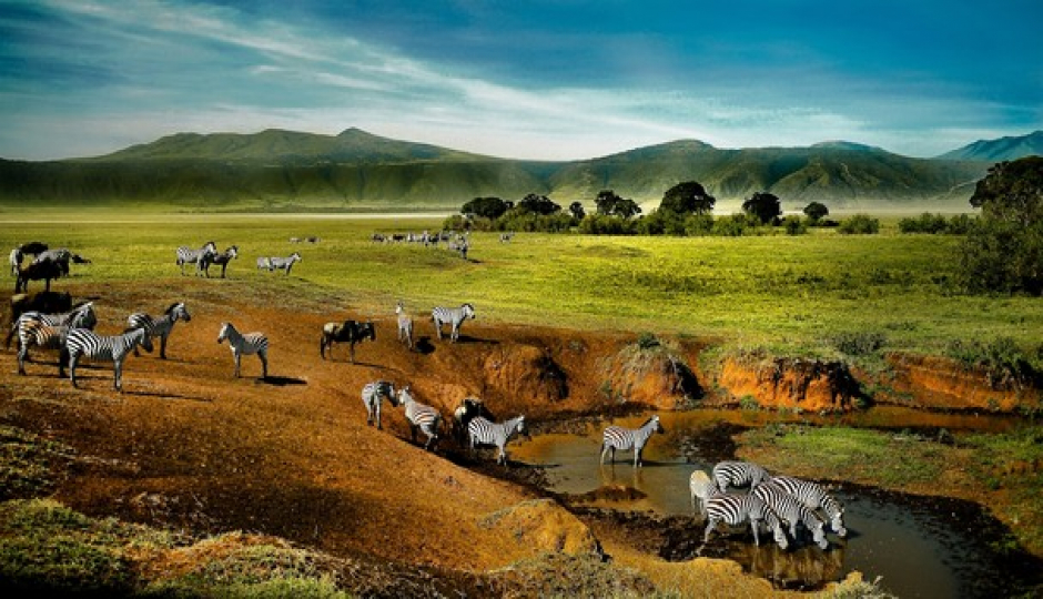Slides Images for 3 Days 2 Nights Ngorongoro Crater,tarangire And Manyara National Park