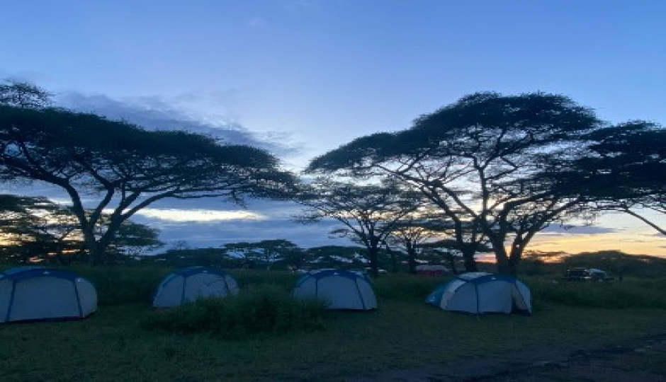Serengeti & Ngorongoro Group Joining With Balloon