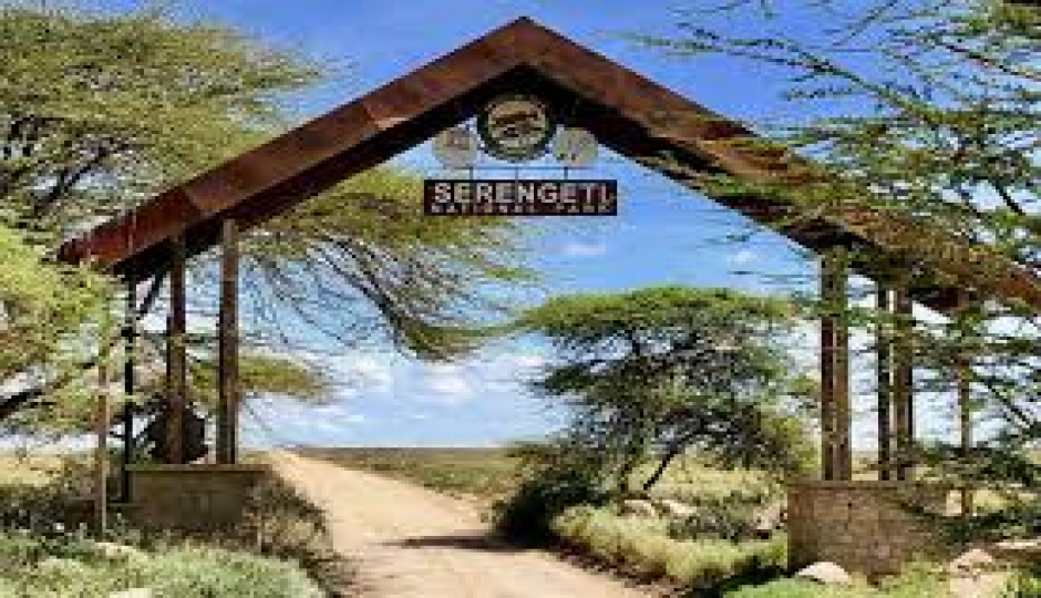 4-Day Ngorongoro & Natron (maasai & Flamingos)