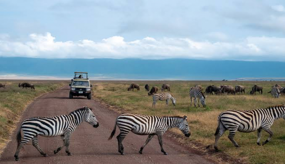 Slides Images for 8-Day Tanzania Amazing Luxury Safari