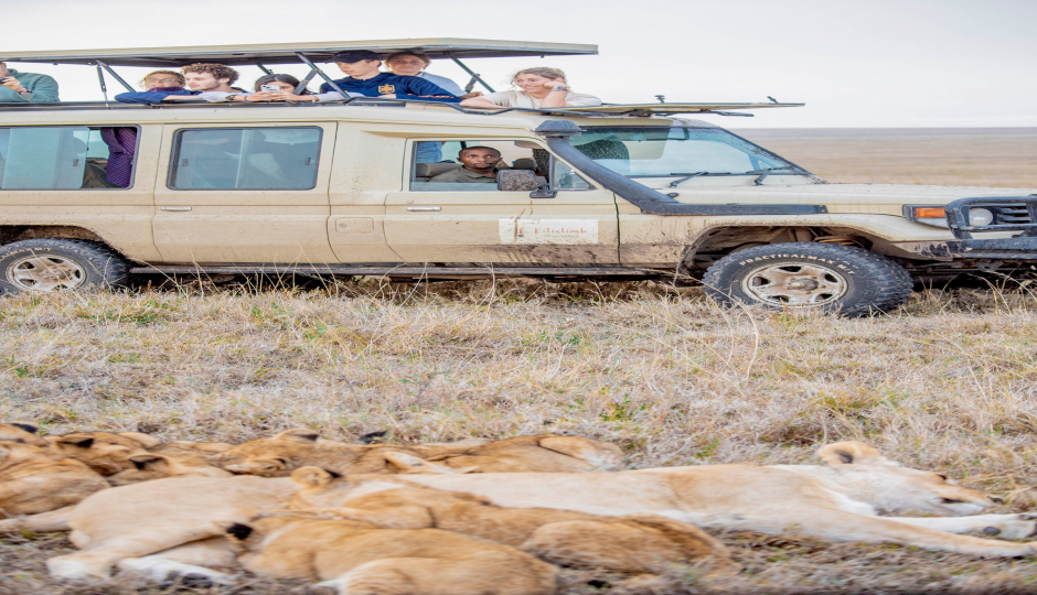 Exclusive Luxury Safari