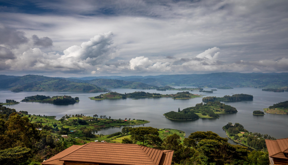6-Day Gorilla Trek & Queen Elizabeth  Safari.