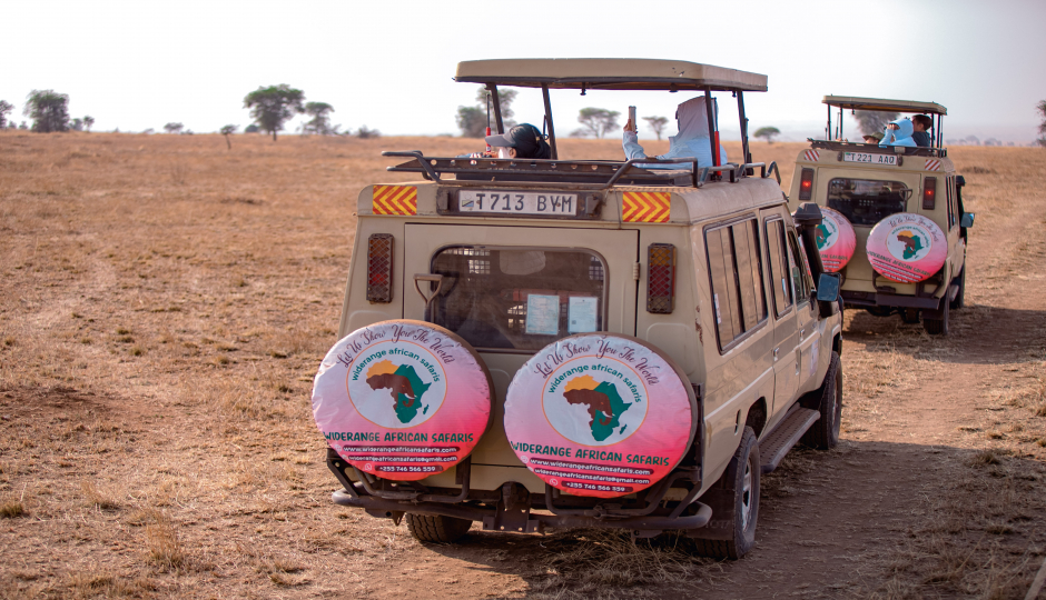 3 Days Tanzania Private Safari Tour Package 2026