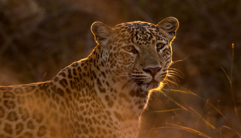 5 Days Tanzania Joining Safari 2026-2027