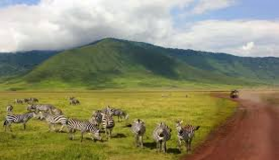 Ngorongoro, Mto Wa Mbu & Kilimanjaro Machame Gate Adventure