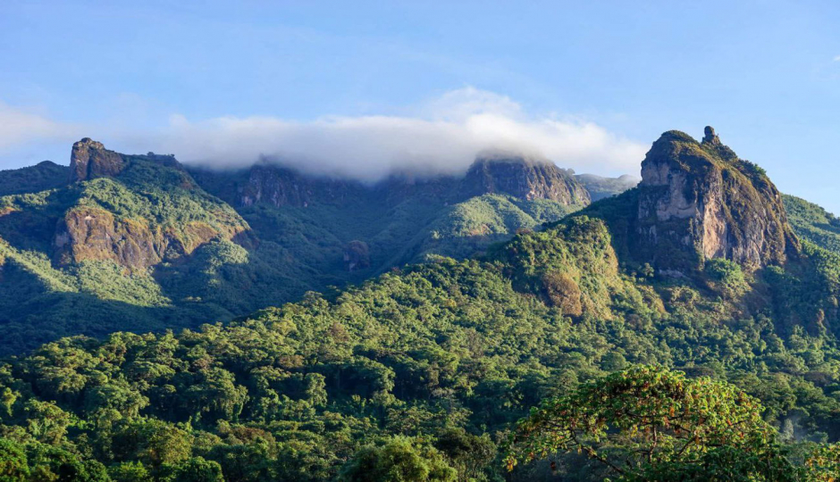Slides Images for Day Bale Mountains Adventure: Trekking & Wildlife